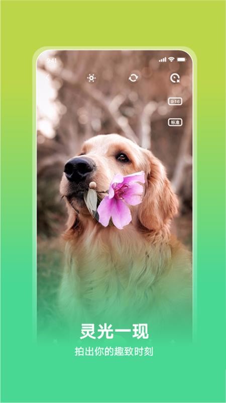 Ȥapp-Ȥ v1.0.0 ֻ