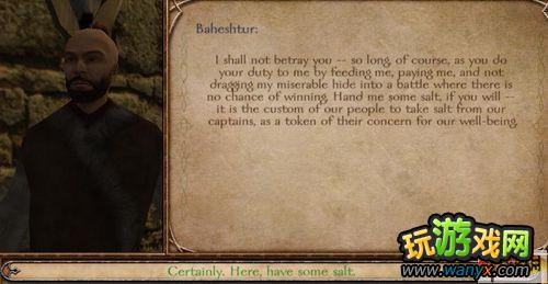 骑马与砍杀战团 雇佣兵